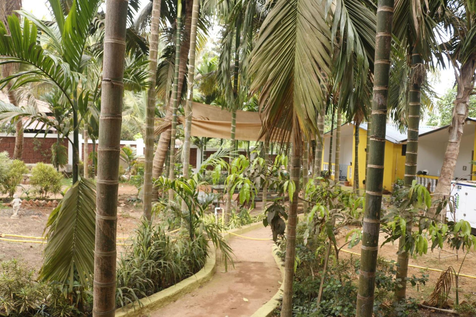 Lavish Exotic Hotel & Apartments Arambol Luaran gambar